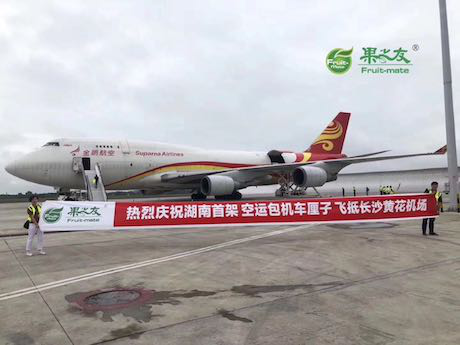 首架载有美加车厘子的直航空运包机抵达湖南