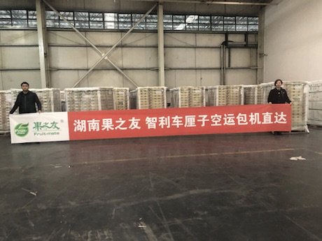 中国市场对首批智利车厘子的反馈积极